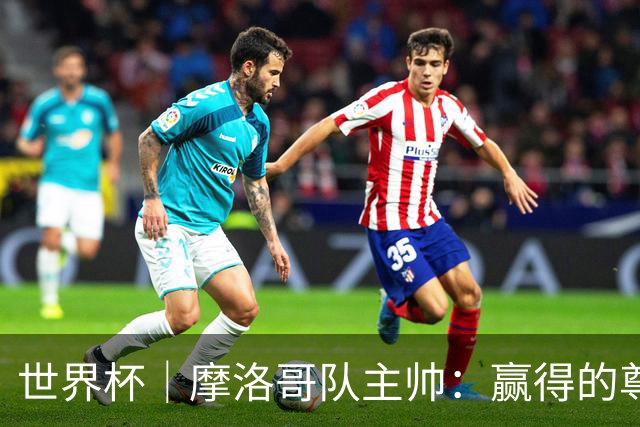 世界杯｜摩洛哥队主帅：赢得的尊重必须在场上体现